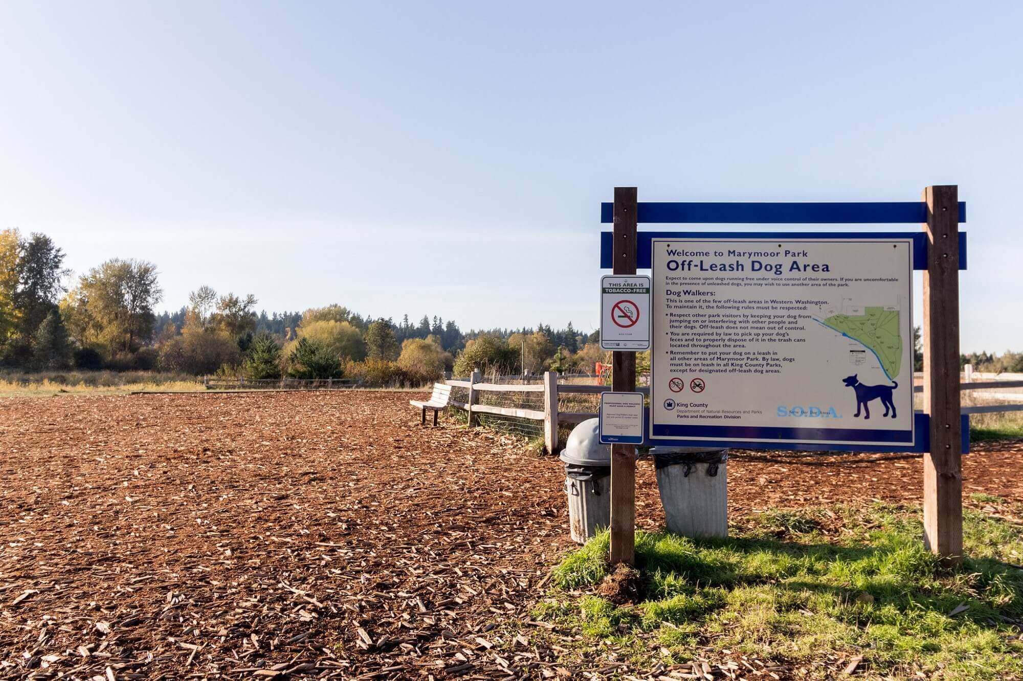 marymoor_dog_park