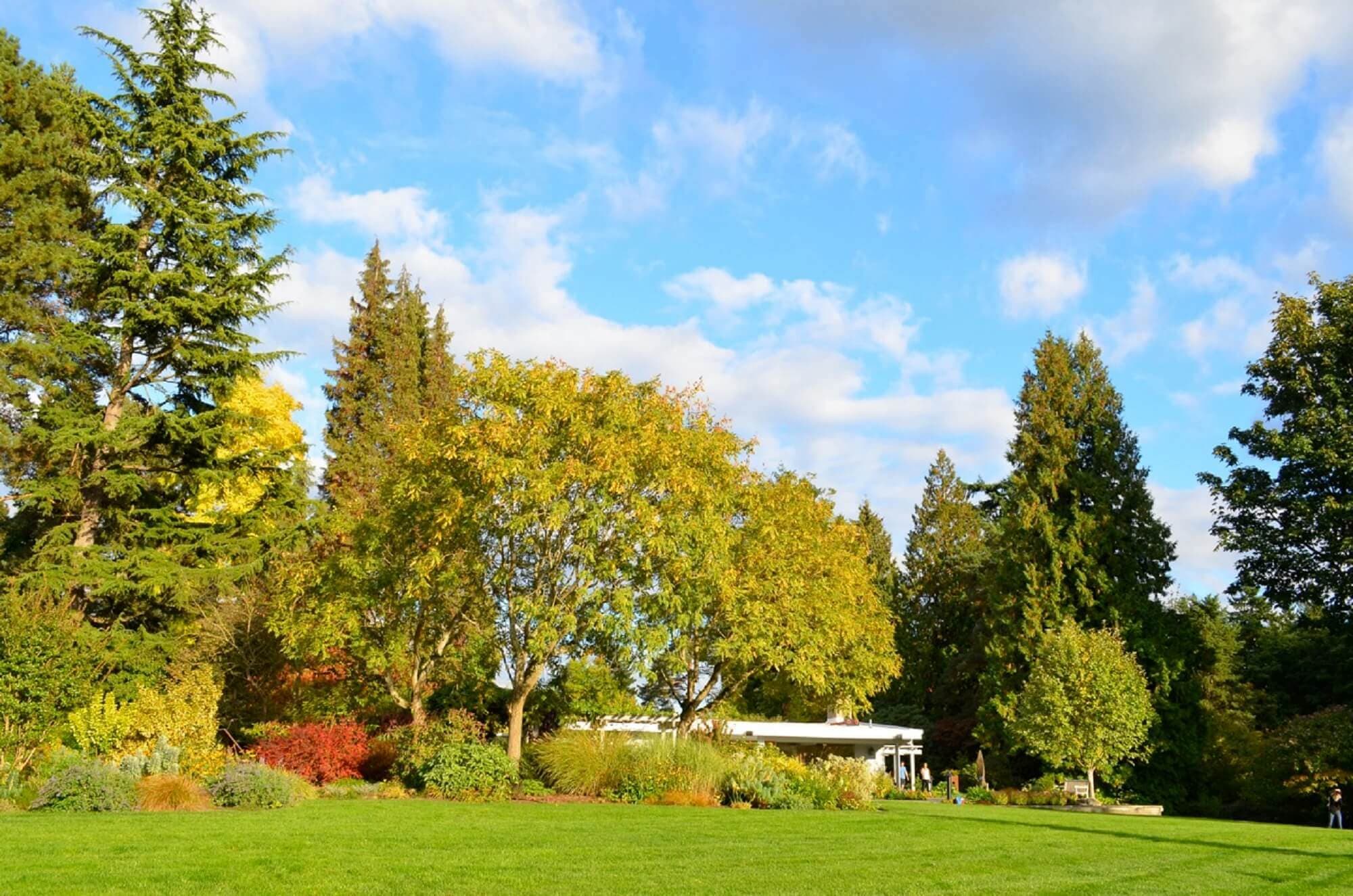 wilburton_bellevue